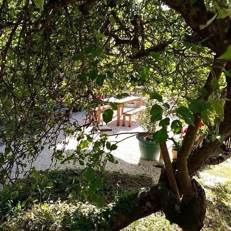 Gite Les 27 Roses Et Plus Chatel-Censoir Exterior photo