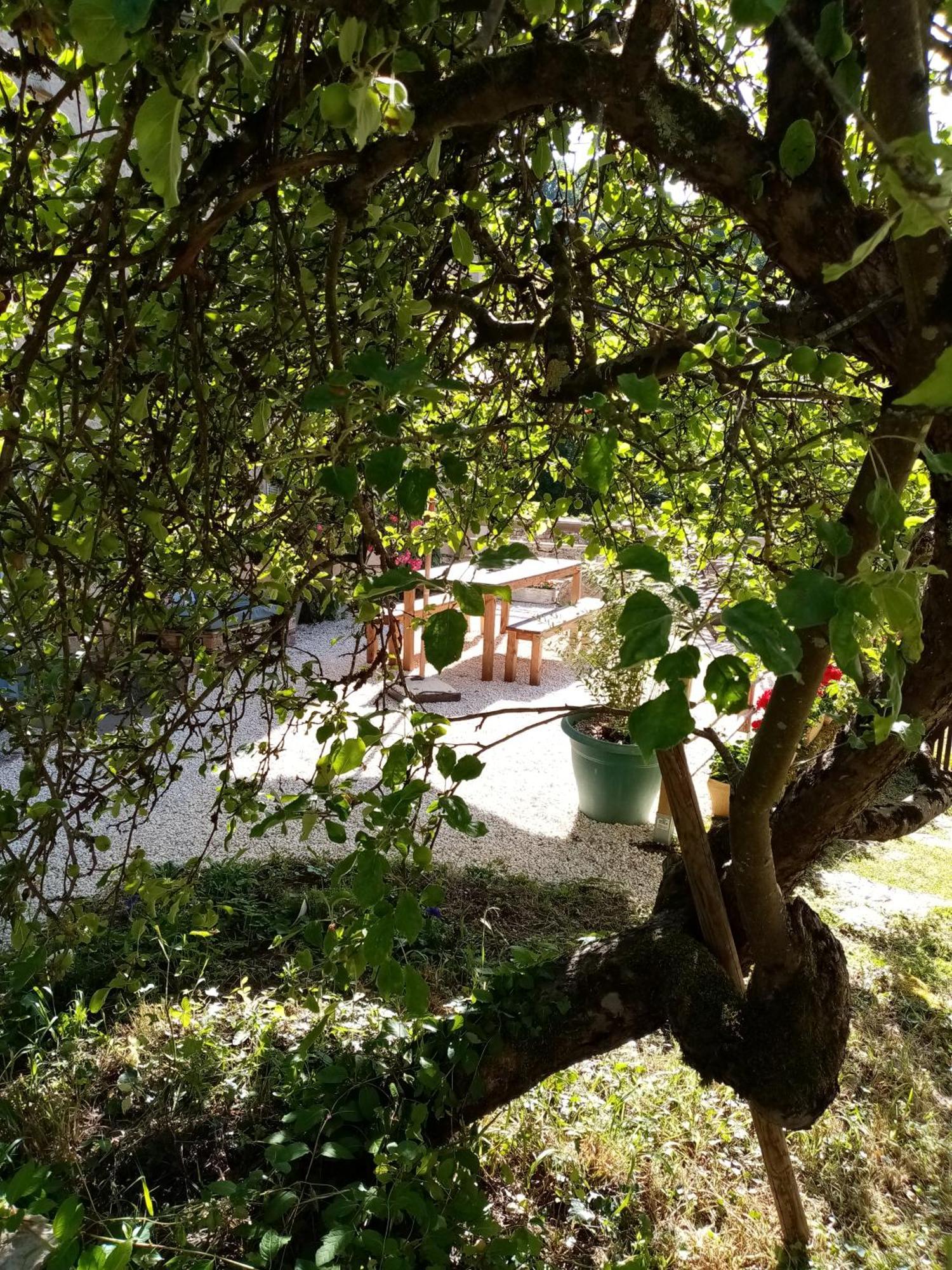 Gite Les 27 Roses Et Plus Chatel-Censoir Exterior photo